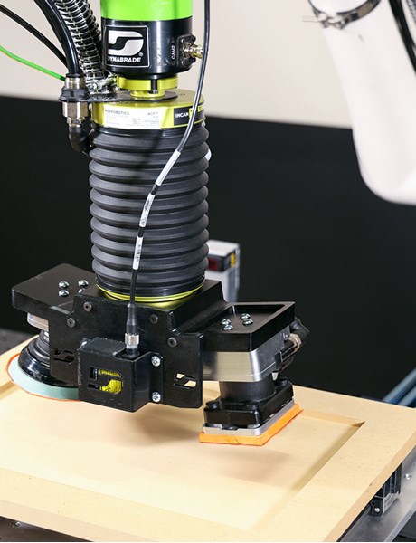 Multitasking robot